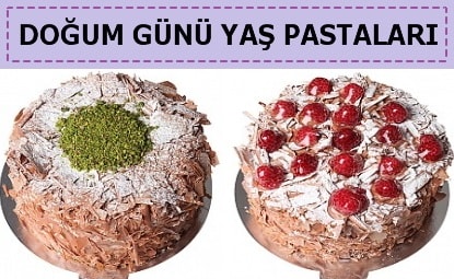 Ankara Cebeci Doum gn ya pastalar