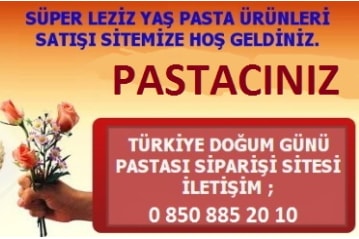 Ankara Atatrk Orman iftlii ya pasta sipari iletiim